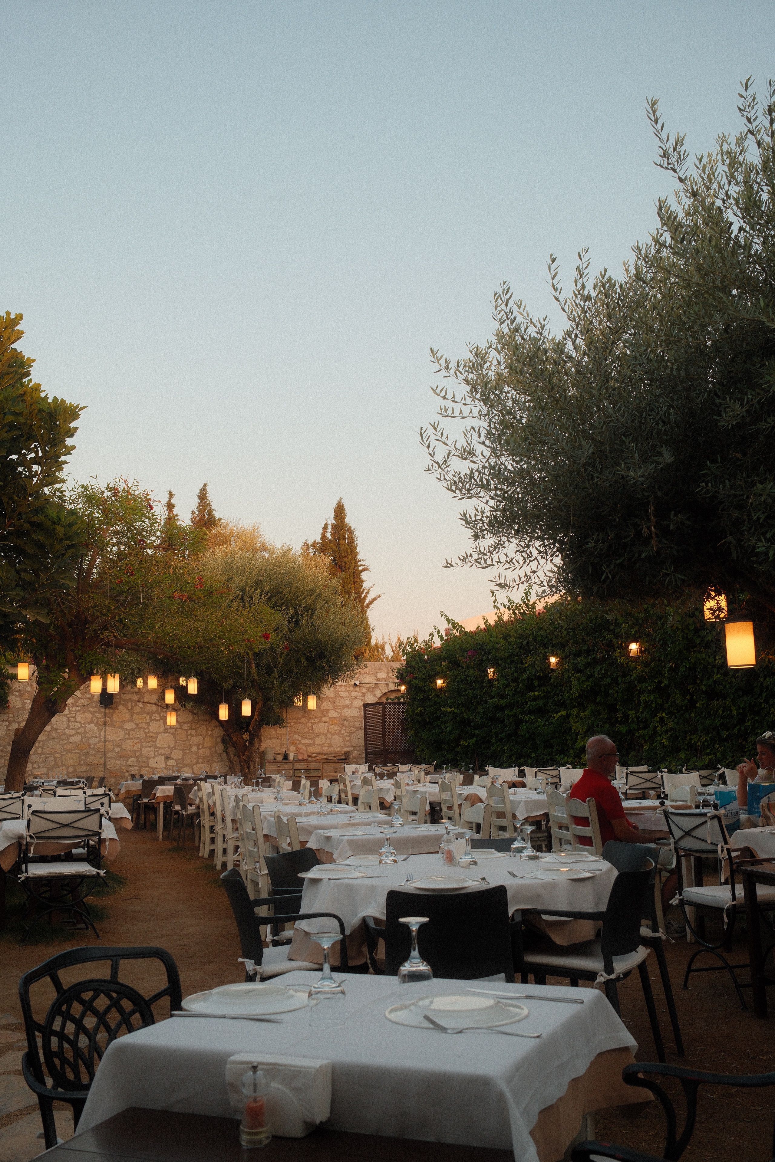 Garden tables under olive trees and warm lanterns